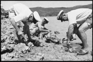 Masonite conference. Mackay and Barrier Reef islands, 2...