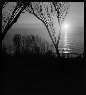 File 08: Sunrise at Bungan, 1940 / photographed by Max ...