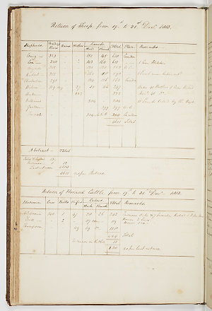 Volume 103: John Macarthur cash book of the New South Wales Corps, 1789-1792, with Elizabeth Farm returns of sheep and cattle, 1813-1819