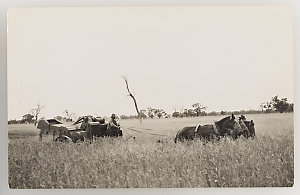 Series 03: Harvesting, ca. 1921-1924