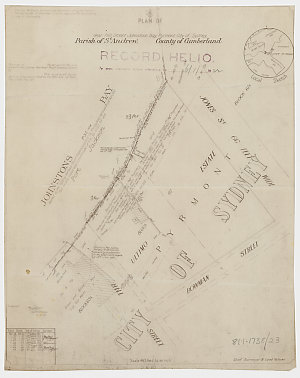 [City of Sydney subdivision plans] [cartographic material] : [Pyrmont, Parish of St Andrew, County of Cumberland]