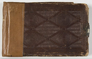 C 60 : Sir Thomas Mitchell diary, 4 February 1841-31 Ma...