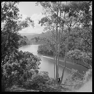 File 08: Nth [North] Coast, NSW, 1950s-1960s / photogra...