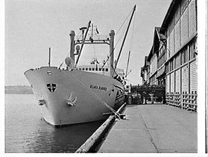 Loading live sheep for Ecuador onto the cargo ship Clara Clausen, Pyrmont