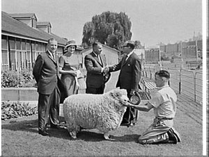 Presentation of prizes and trophies, Sheep Show 1965, S...