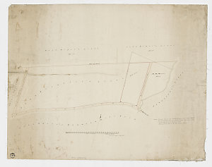 [Manuscript map of land grants along Parramatta Road, P...