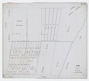Plan of 39 market garden allotments situate at Botany n...