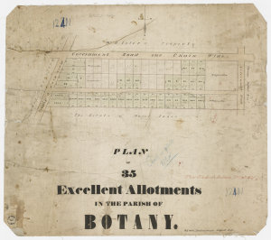 Plan of 35 excellent allotments in the parish of Botany...