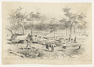On Bendigo Creek [a view], 1850-1859? / Samuel Thomas G...
