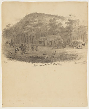 Mount Macedon from the Black Forest [a view], ca. 1855 ...