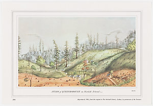 A view of Queenborough on Norfolk Island, 1804 / by I. ...