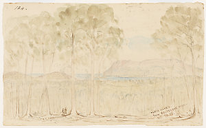 [View of] Maria Island from Rostrevor Hill, 20 Oct. 185...