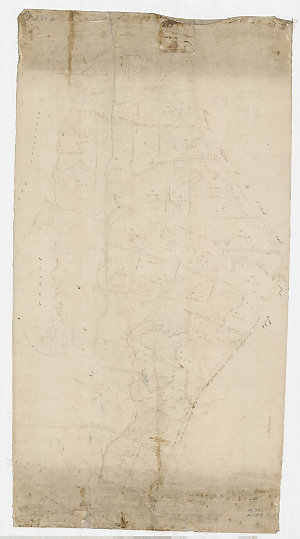[Manuscript map of allotments of land in Balmain, Sydne...