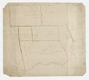 [Manuscript cadastral map of allotments along the Cook'...