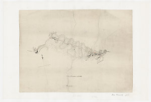 [Manuscript map of New South Head Road to intersection ...