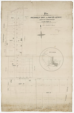 Plan of allotments at Macdonald Town and White's estate...