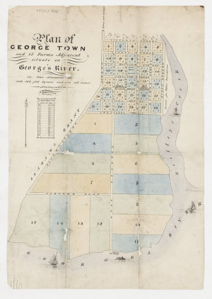Plan of George Town and 15 Farms adjacent situate on Ge...