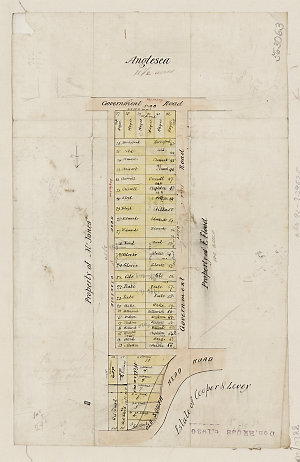 [Anglesea, Mr Woollup's grant [cartographic material] :...
