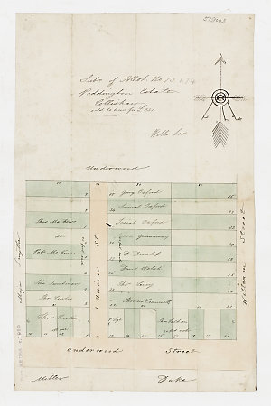 Subdivision of Allotment No 73 [and 74], Paddington Est...