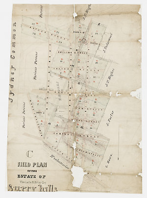 C Field plan of the estate of the late E. Riley esq. Su...