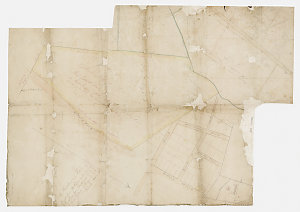 [Manuscript map of the Hutchinson Estate, Chippendale, ...