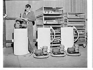 Arnold DeVilbiss Tuffy electric motor supplied by CIG u...