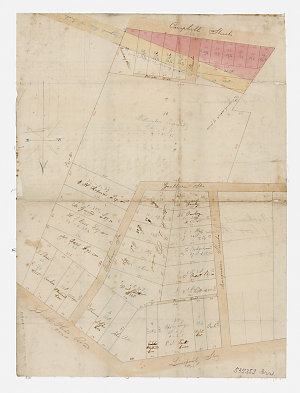 Plan of Mr Mackaness' land [cartographic material] / P....
