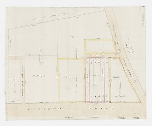 [Manuscript cadastral map of allotments along Macleay S...