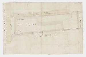 [Pauls Grant, George Street, Section 46] [cartographic ...