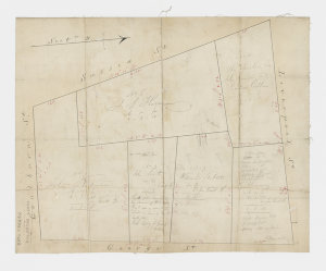 [Section 9, George, Goulburn, Liverpool, Sussex Streets...