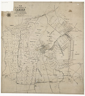 Plan of the municipality of Camden, parishes of Narella...