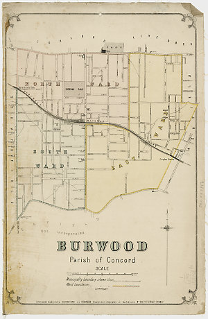 Burwood [cartographic material] : Parish of Concord / lithographed & published by Higinbotham and Robinson.