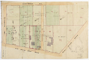 [Manuscript cadastral map showing allotments in Padding...