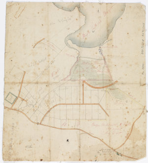 [Manuscript cadastral map of an area near Rushcutters B...