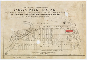Plan of allotments Croydon Park [cartographic material]...