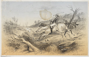 Kangaroo hunting. No. 2 The Chase, ca. 1860? / Samuel T...