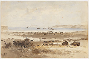Portland Bay, Victoria [a view], 1800-1899 / Samuel Tho...