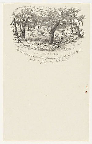Road to Black Forest, this forest extends 40 miles and ...