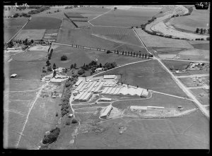 Item 21: Milton Kent aerial views of Bathurst, Cowra, L...
