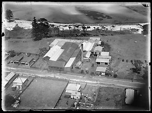 Item 22: Milton Kent aerial views of Botany, Marrickvil...
