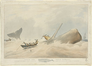 South Sea whale fishery, 1834 / painted by W. J. Huggin...