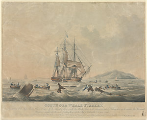 South Sea whale fishery, 1825 / painted by W. J. Huggin...