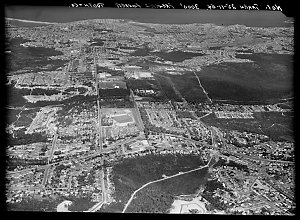 Item 48: Milton Kent aerial views of Frenchs Forest, Mo...