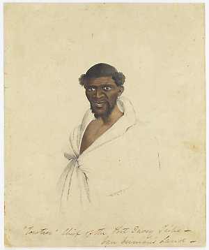 Towtrer Chief of the Port Davey Tribe - Van Diemans [i....