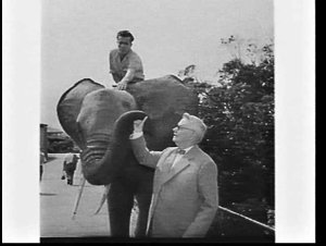 Sir Edward Hallstrom with an elephant at Taronga Park Z...