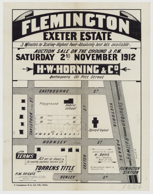 [Flemington subdivision plans] [cartographic material]