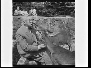 Sir Edward Hallstrom with deer at Taronga Park Zoo