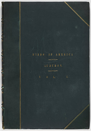 The birds of America : from original drawings / by John...