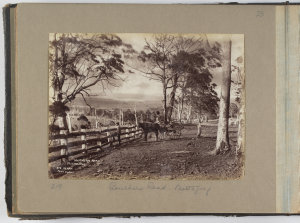 General country [album of photographs of New South Wale...