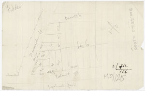 [Hurstville subdivision plans] [cartographic material]
